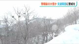 “最強寒波” 雪はどのくらい降るのか?警報級の大雪による交通障害のほか 高波にも警戒を|TBS NEWS DIG