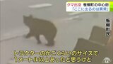 防犯カメラに『クマ』の姿 「ここに出るのは異常」不安募る住民 座っているクマを見た人も「どこから来たの…」 青森県板柳町|TBS NEWS DIG