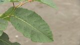 22地点で20℃超える朝 岩手県内 激しい雨に注意を|TBS NEWS DIG