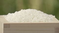 コメのコスト指標5キロあたり2816円　米穀機構が正式公表| TBS CROSS DIG with Bloomberg