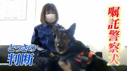 「犬の耳ピーン！」高齢女性が真冬の夜に行方不明…飼い主がとっさの判断　信頼の絆が生んだ奇跡|TBS NEWS DIG