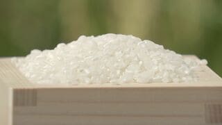 コメのコスト指標5キロあたり2816円　米穀機構が正式公表| TBS CROSS DIG with Bloomberg