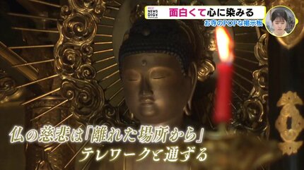 カープのファンでいることは修行である」 お寺のポップな掲示板 18年で