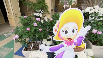レオマリゾートで「春の大バラまつり」 世界各国の約400品種 約10万本