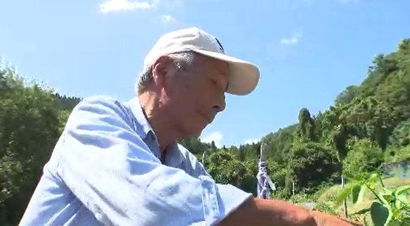 「減税されると手取りが減るんだよ…」【食料品消費税1パーセントに引き下げ】「農業王国」信州から不安の声「手の届かないところで決められた問題だから…どうしようもない…」　|　SBC NEWS | 長野のニュース | SBC信越放送