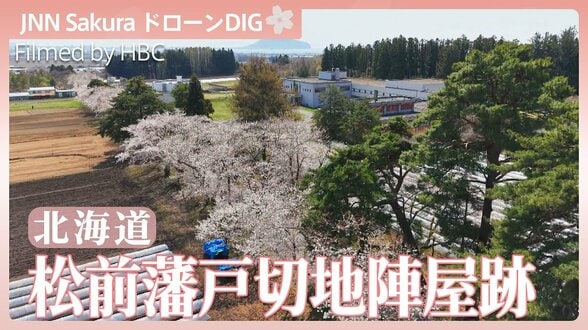 松前藩戸切地陣屋跡　桜【JNN sakuraドローンDIG 2026】|TBS NEWS DIG