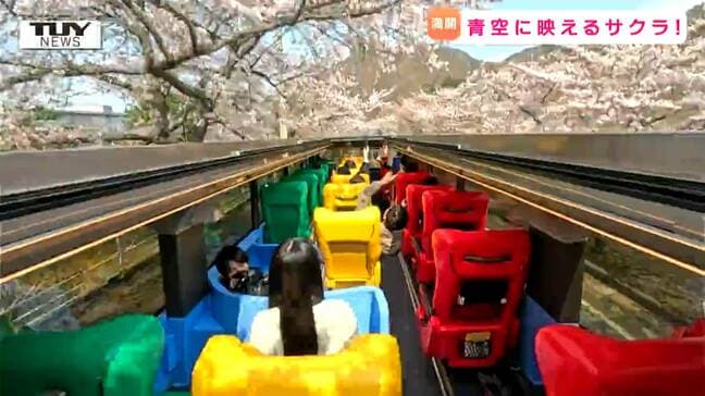 来年春に導入予定！屋根のないバスで桜のトンネルを駆け抜ける！（山形）|TBS NEWS DIG