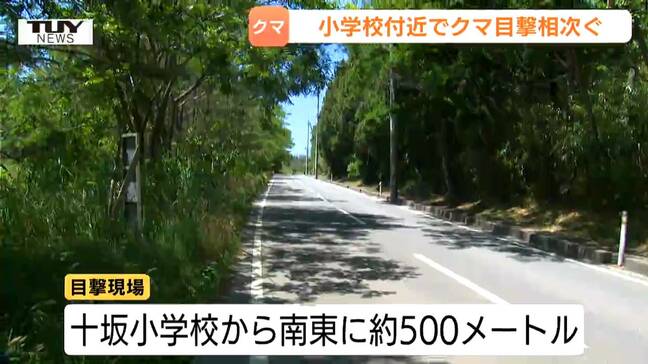 小学校近の近くやスイカ畑でも…きょうも県内各地でクマの目撃相次ぐ(山形)|TBS NEWS DIG