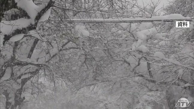 青森市の除排雪 西秀記 市長が県にさらなる連携を要請していく考え示す 災害級の豪雪時には重機確保で応援を受けられるように県に働きかけると市長|TBS NEWS DIG