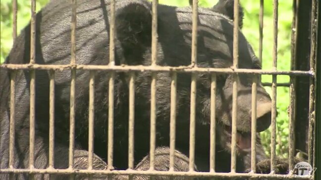 「安心して作業できるような体制を」クマ出没・食害相次ぎ　津軽地区の6つのJAの代表者が集まり『クマ被害対策連絡会議』意見交わす　青森県|TBS NEWS DIG