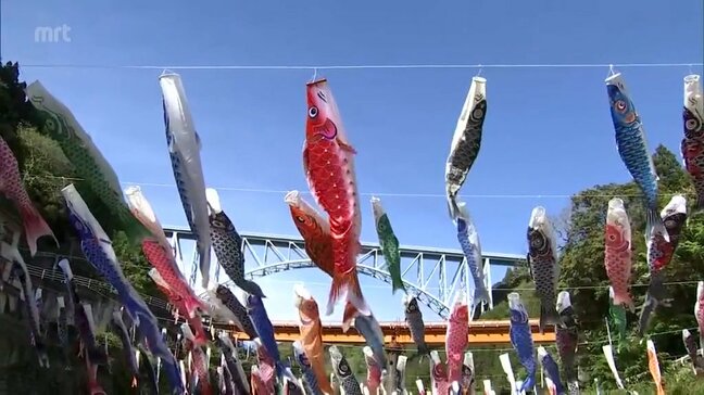端午の節句を前に 日之影川に約250匹の「こいのぼり」|TBS NEWS DIG