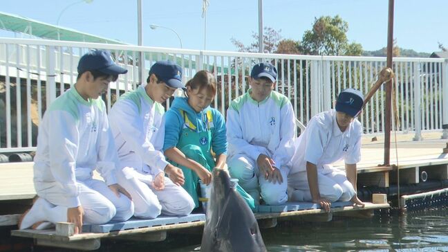 水族館での仕事って･･･「掃除」「餌やり」だけじゃない！「砂の仕分け」「魚をさばく」ことまで高校生が体験　熊本|TBS NEWS DIG