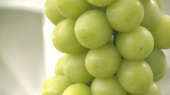 ふるさと納税返礼品めぐる産地偽装問題 須坂市が日本グルメ市場に2億4000万円の返還請求へ 長野|TBS NEWS DIG