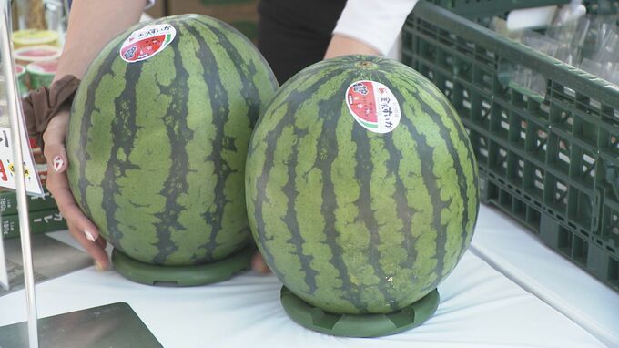 「買う・作る・食べる・学ぶ」を体験！ いしかわビブリオマルシェ開催　|　石川県のニュース｜MRO北陸放送