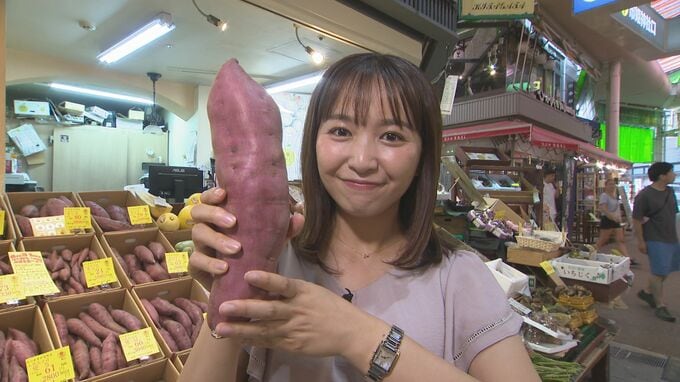 8月31日は「やさいの日」実は“30種類”の五郎島金時　大きさや形で味の違いも　|　石川県のニュース｜MRO北陸放送