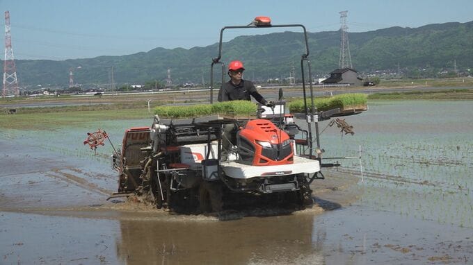 地震被害も、力合わせて生産活動へ 「ひゃくまん穀」田植えシーズン|TBS NEWS DIG