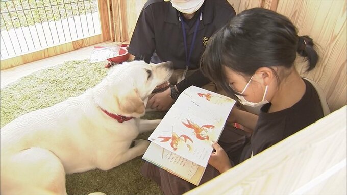 子どもが絵本を読み聞かせる相手は…「イヌ」　狙いは？　|　BSSニュース | BSS山陰放送