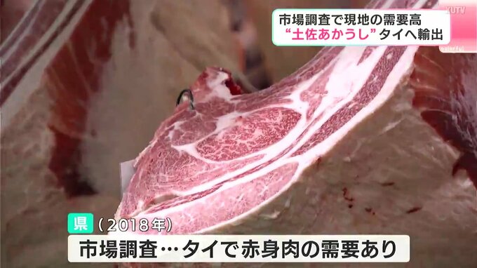 認知度の向上とさらなる販路拡大へ　“土佐あかうし”　タイへ初輸出　|　高知のニュース・天気｜KUTV NEWS | KUTVテレビ高知