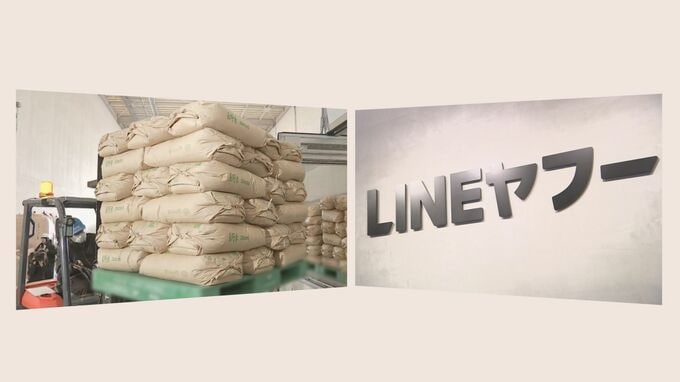LINEヤフーが政府備蓄米の転売対策　「ヤフオク」や「ヤフーフリマ」での出品禁止に|TBS NEWS DIG