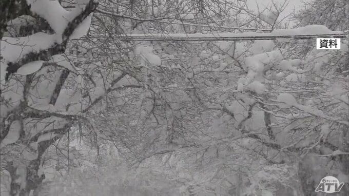 青森市の除排雪　西秀記 市長が県にさらなる連携を要請していく考え示す　災害級の豪雪時には重機確保で応援を受けられるように県に働きかけると市長|TBS NEWS DIG