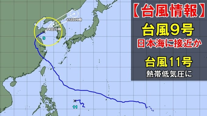 【台風情報】台風9号(バービー)は中国から日本海へ接近見込み　今どこ？ 今後の進路予想は　台風11号は熱帯低気圧に　全国の天気を画像で　気象庁　|　山形のニュース│TUYテレビユー山形