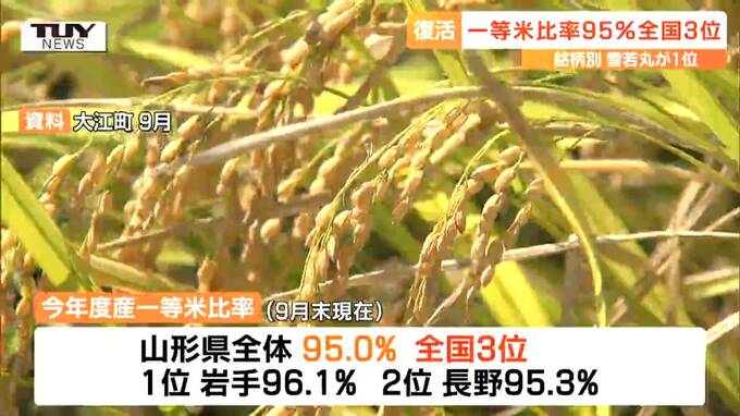 一等米比率、去年に比べ躍進！というより本来の姿に！産地銘柄別では「雪若丸」が全国１位　コメ農家の努力も実った秋（山形）　|　山形のニュース│TUYテレビユー山形