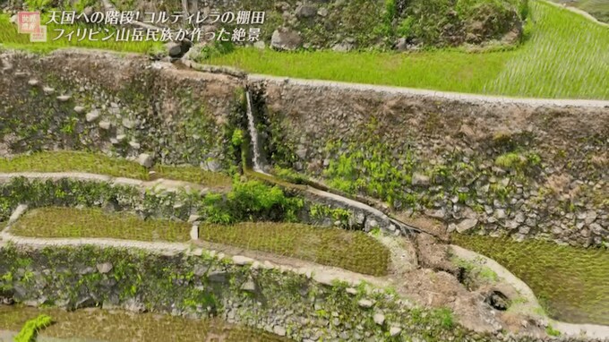 棚田自体が水路に