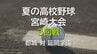 夏の高校野球宮崎大会　3回戦　都城 vs 延岡学園　|　MRTニュース ｜ ＭＲＴ宮崎放送