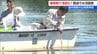 ラムサール条約にも登録の白鳥の飛来地 「瓢湖」で水深や堆積物を調査　4月から排水口が開かれ数値に問題なし　新潟・阿賀野市　|　新潟のニュース・天気｜BSN NEWS｜BSN新潟放送