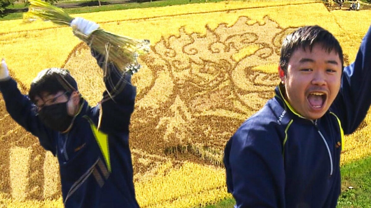 未来の海賊王”を刈り取り高校生も思わず「ニカッ」 田んぼアートブーム
