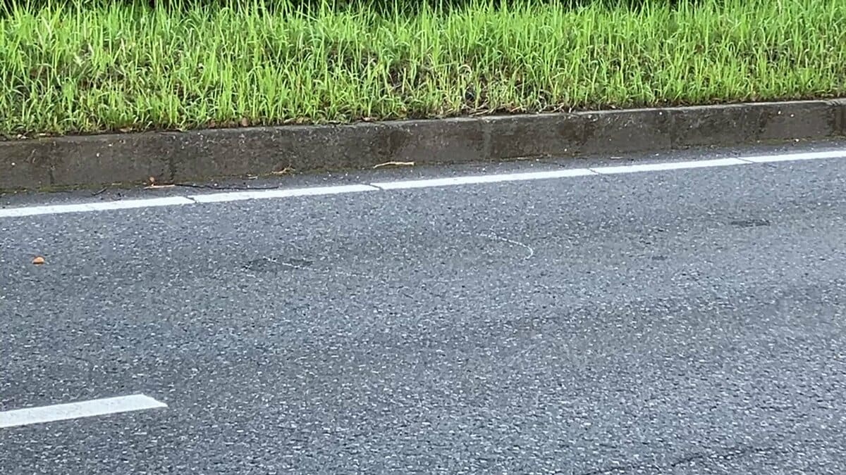 産業道路でバイク集団走行中に追突事故　16歳少女が意識不明の重体　鹿児島