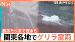 関東でゲリラ雷雨　八王子など一時「レベル4大雨危険警報」　3連休も全国的に雷雨や突風に警戒|TBS NEWS DIG