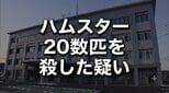 ハムスター20数匹殺した疑い　さらにその様子を宿泊施設でスマホ撮影　宮古水産高校の職員の男と住居不定の女(19)を逮捕　岩手　|　IBC NEWS | IBC岩手放送