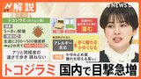 電車内でも“トコジラミ”目撃情報 就寝中に「吸血」・・・被害から身を守るには?弱点は「光」と「熱」【Nスタ解説】|TBS NEWS DIG