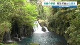 赤ちゃんもニッコリ！ 菊池渓谷が山開き 昨シーズンの来場者は5年前の3倍に　外国人観光客も絶賛する新緑の魅力　|　熊本のニュース｜RKK NEWS｜RKK熊本放送