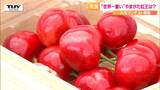 大玉が特徴のさくらんぼ新品種「やまがた紅王」“重さ”を競うコンテスト 一位は貫禄が違う! | 山形のニュース│TUYテレビユー山形