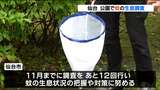 「水たまりは蚊の幼虫の発生源」デング熱を防ぐ 公園で生息状況調査 仙台 | 宮城のニュース│tbc NEWS│tbc東北放送