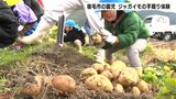 「おっきい、でっかい!」収穫の喜びを実感 高知県宿毛市の園児たちがジャガイモの芋掘りを体験 | 高知のニュース・天気|KUTV NEWS | KUTVテレビ高知