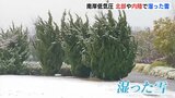 南岸低気圧の影響　広島･北部や内陸で湿った雪　|　RCC NEWS | 広島ニュース | RCC中国放送