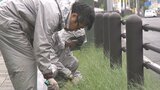 「全国豊かな海づくり大会」開催を前に 別府会場でボランティア清掃 大分 | 大分のニュース|OBS NEWS|大分放送