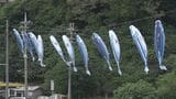 恒例　カツオ漁で栄えた街で「カツオのぼり」掲揚式　本部町　渡久地港　|　沖縄のニュース｜RBC 琉球放送