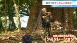 鎮守の森に浮かぶ「光の粒」 自然とアートが響き合う芸術祭が開かれる【高知・四万十町】 | 高知のニュース・天気|KUTV NEWS | KUTVテレビ高知