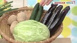 ハクサイ１玉1000円の時期も　キャベツは330円、ナスは３本３２０円　野菜価格高騰の現状と影響　|　山口のニュース・天気・防災｜tys NEWS｜ｔｙｓテレビ山口