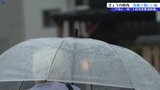 岩手県内は広範囲で激しい雨　大雨警報や土砂災害警戒警報も|TBS NEWS DIG