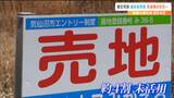 「活用の見通し立たない」自治体買い取りの被災宅地4割が未活用のまま 宮城・気仙沼市 | 宮城のニュース│tbc NEWS│tbc東北放送