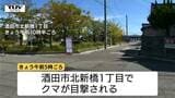 【動画】昨夜から今朝にかけ複数の目撃…市街地でクマの出没相次ぐ 今のところ被害の確認無し(山形・酒田市) | 山形のニュース│TUYテレビユー山形