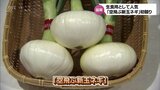 極早生玉ネギ「空飛ぶ新玉ネギ」　特産地･延岡市で今季の出荷が始まる|TBS NEWS DIG