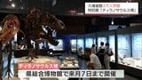 全長12mの成体骨格など展示「ティラノサウルス博」 入場者4万人突破 宮崎県総合博物館で9月7日まで | MRTニュース | MRT宮崎放送