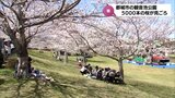 都城市観音池公園では約5000本の桜が見ごろ迎える 29日の宮崎県内は5つの地点で夏日に | MRTニュース | MRT宮崎放送