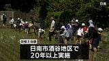 農業への関心を　日南市の小学校で児童が田植え体験　|　MRTニュース ｜ ＭＲＴ宮崎放送